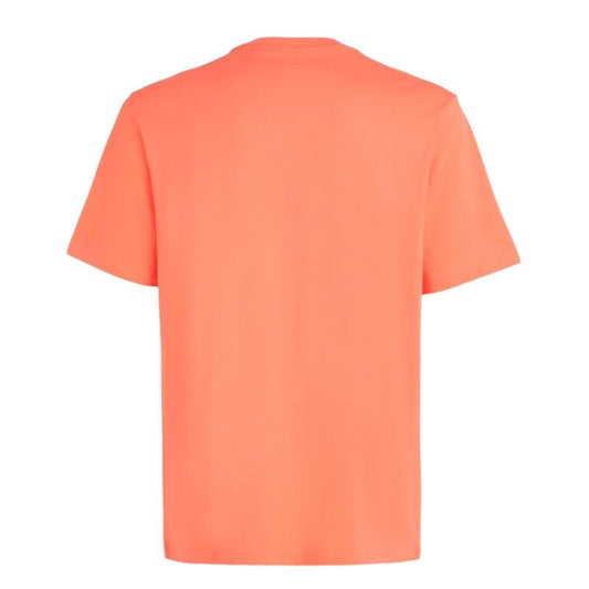 Herren Kurzarm-T-Shirt Small Logo in Orange von O'Neill