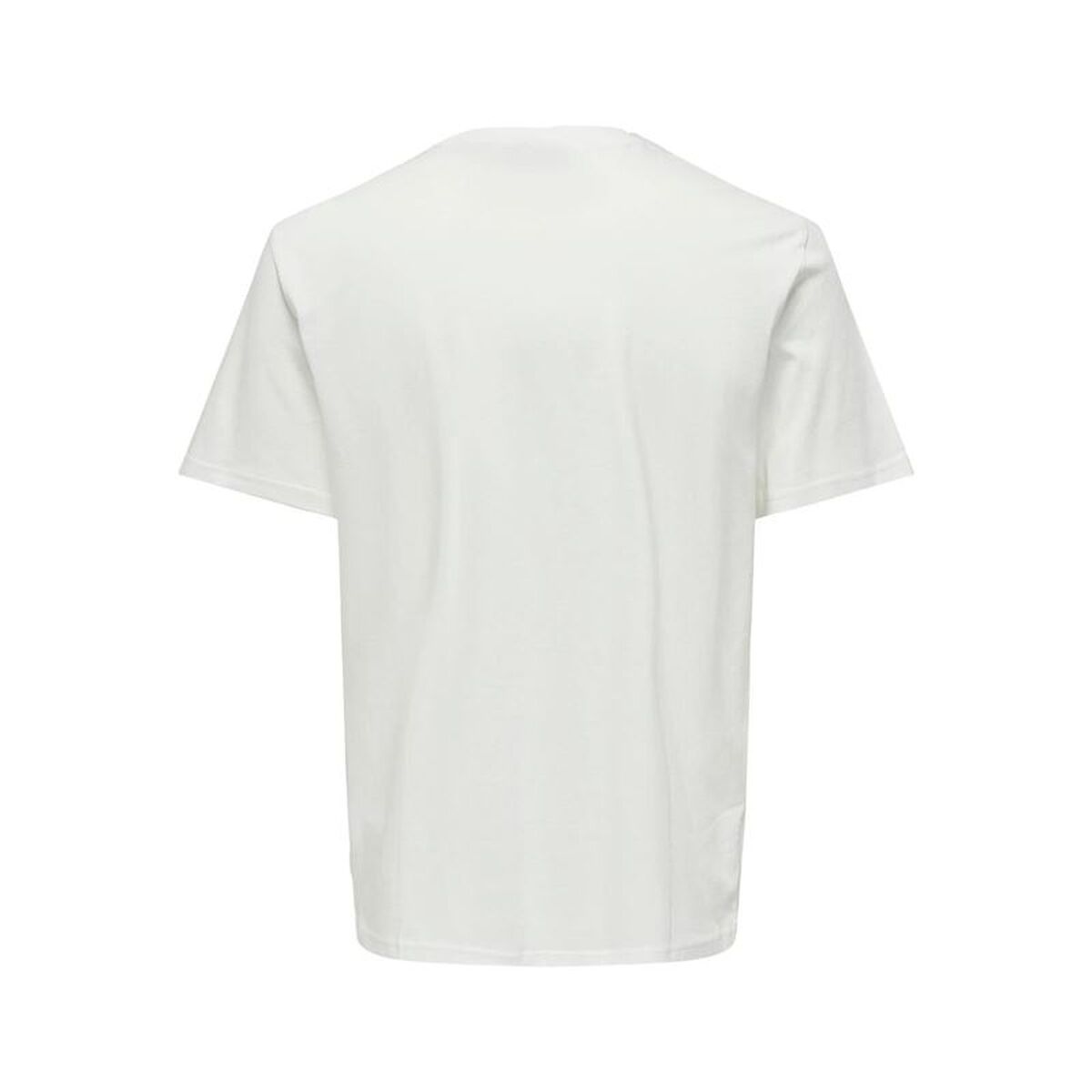 Herren T-Shirt Only & Sons ONSKOLTON REG BEACH White